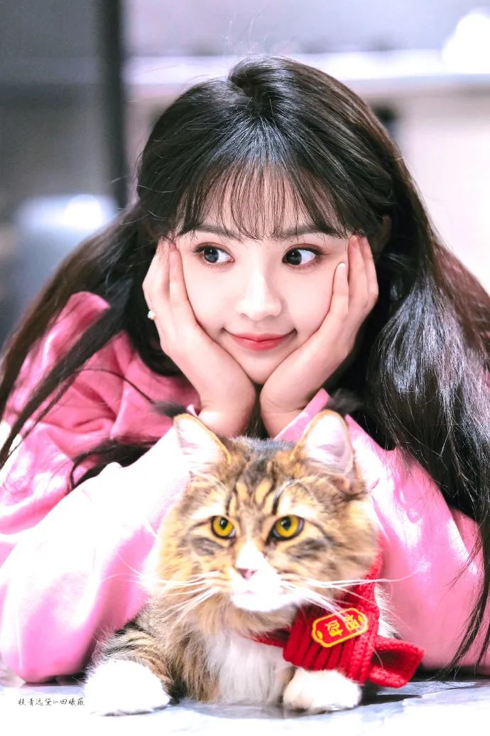 精准踩中了, 甚至被认为, 票结果